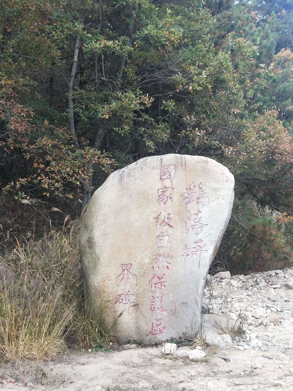 sWgoCYVfR0L8J5CR4iPpZq1ruKT3hQpwofnPiMs-cetTLszCIZXgrdW0cGCO2KSS