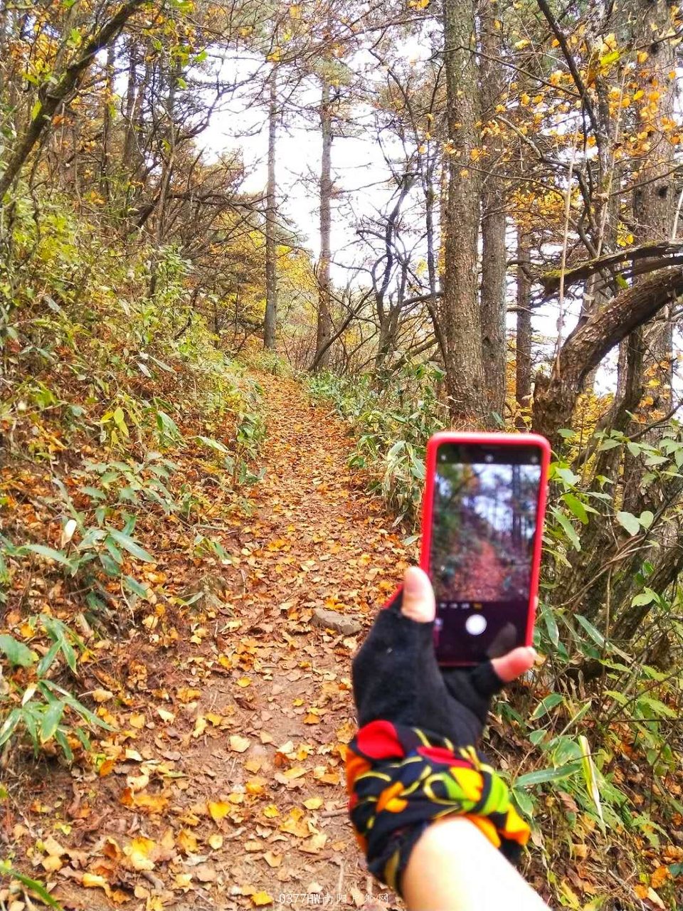 b9xDjoGPPY0_XUn8ScquueFrDznNyNqgDnUJhDer8BO_nAUR2ff_VZGBGnb_FrhE