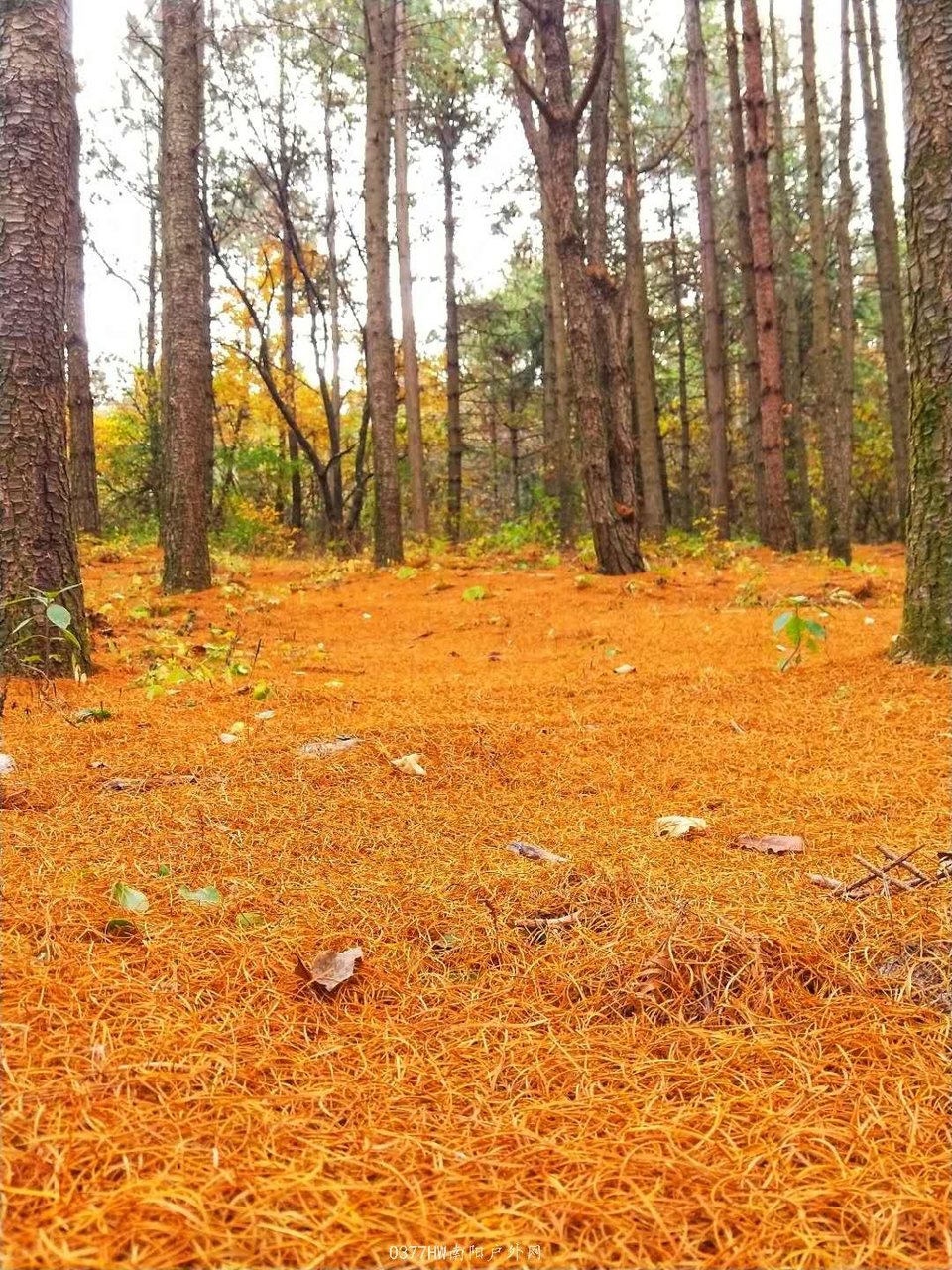 rxF_iY5Ws-Cab1JueXo6QJQo8US99yWzp-yGcvpo4sCnSq81yafUlBFyH6oQ3wZ8