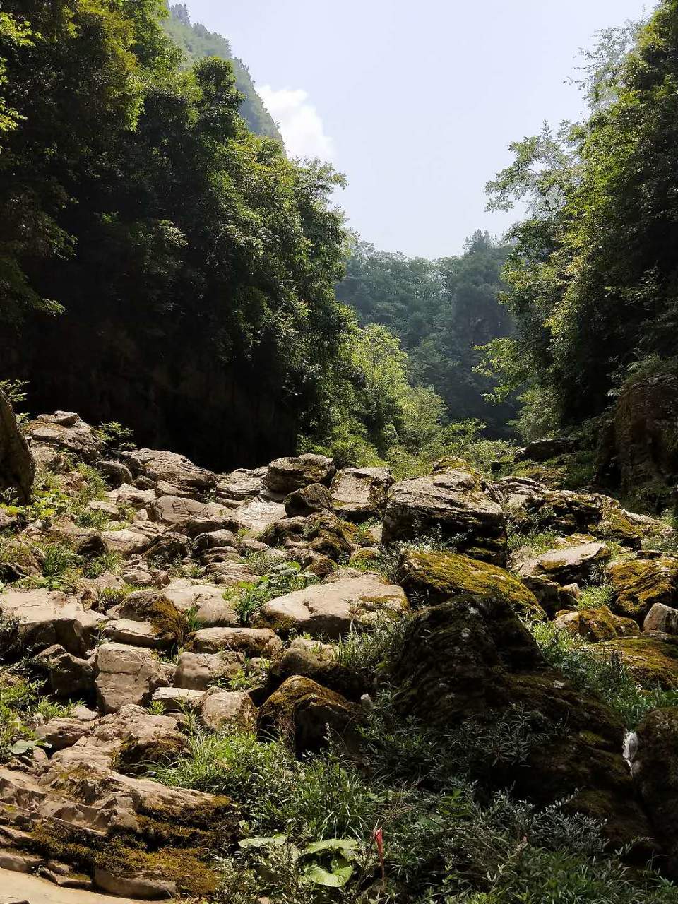 s80yd79nmw7eY77Mi0cUUwJxdQIq_DtkEts6aYklzEfKTK9BZLD1YsRQ-bYdz7G_