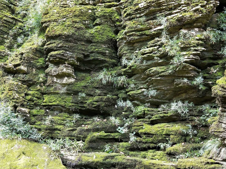 z1c9M-RR8QIivMl5lwvx_oHy6gY-YIsLRPYryn7ZuWsHt7wJ7ooB75l4CVcnFwMI