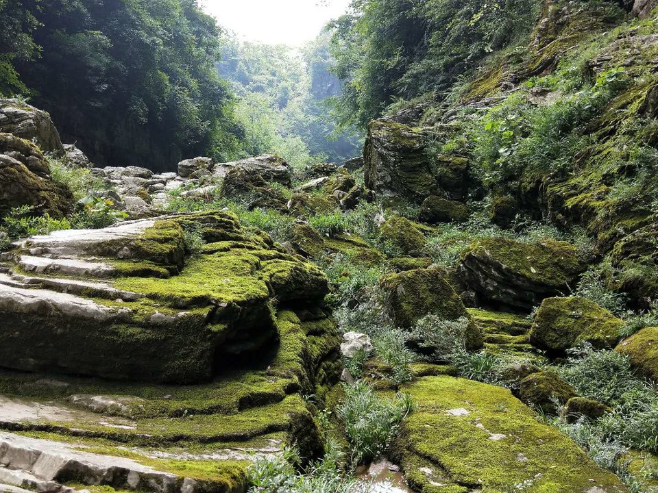 cV7cOF5howo5MiBnXXlVvUy1863PN38_fDxfeyqU0XNaYeFoO_ruwJEpSKeJlijE