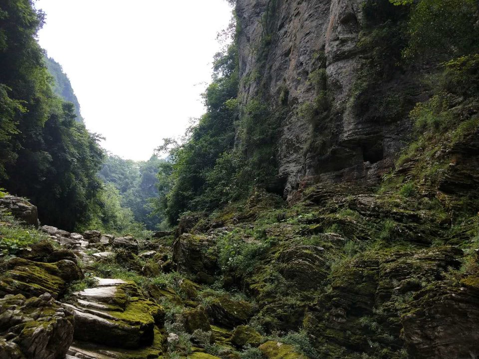 xmTPi7VjuqLjqNcevmvWfytdFTk0WlqrqvbqlTKvAkgezJEKmSuInW81E2izCw1K