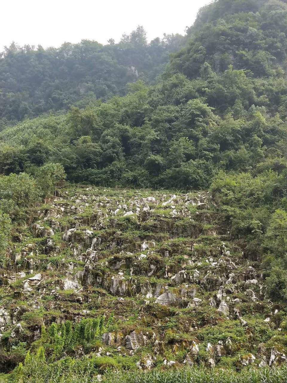 Mv68LgEzy6GeKifpuvCQBQH3FBYAX_MZOmDSxVqC4PKKWrPvw8BzdWrML1xwphgH