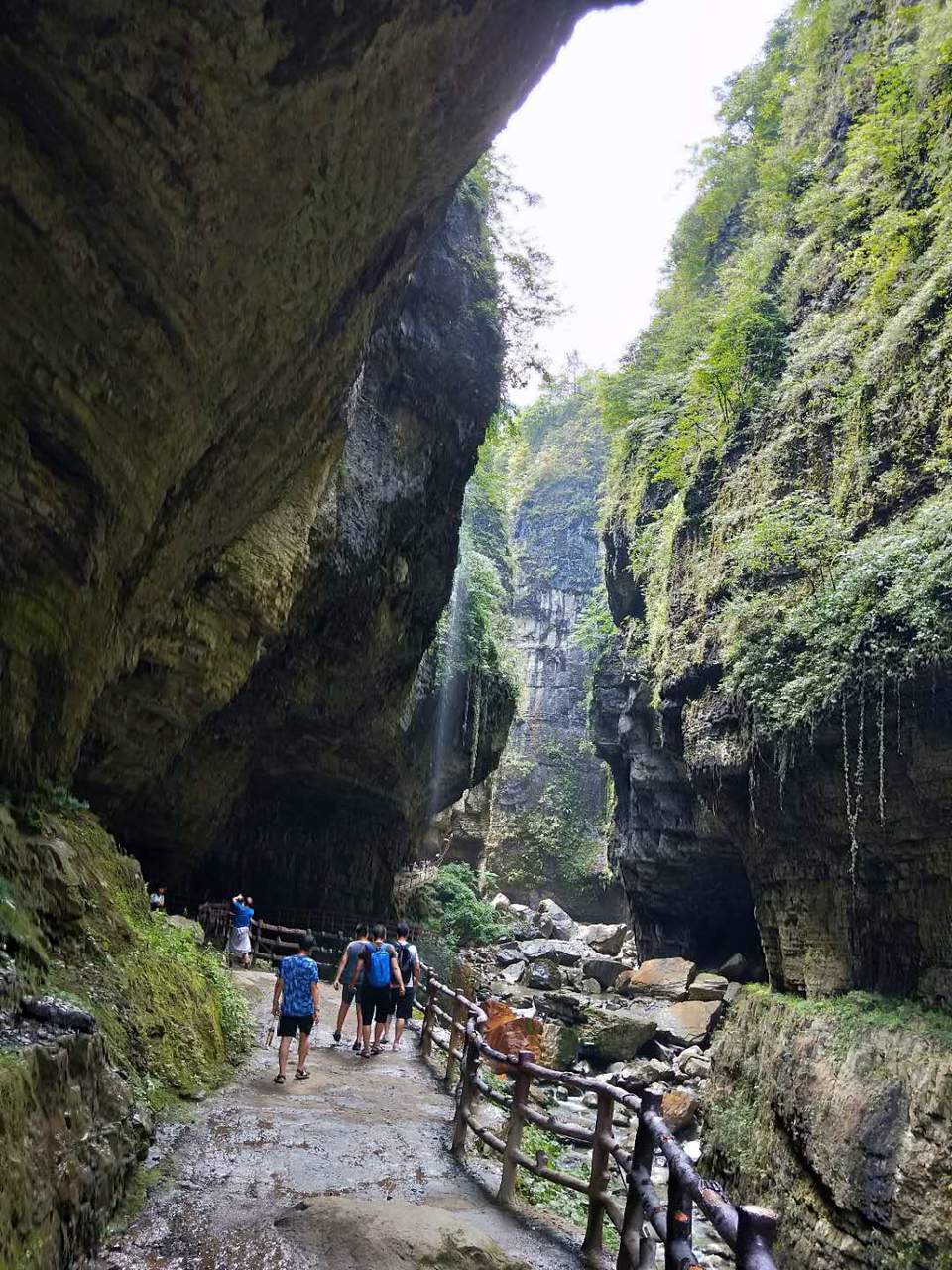 wTs5hSIus8UyGT6N3j7gJqe7z6ec_y68LDHB5Dpo2SN2zB1sHgwMQxkAA7QVmCqS