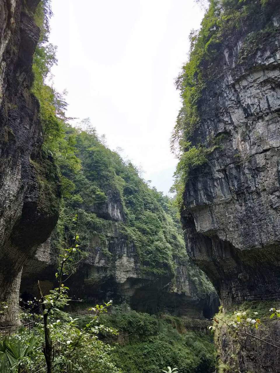 3G_9ACySdfgWFrWmebJtPlnT7Sg3AgnBw5acA0wCWBhp3a_ckoAjuROwuf51sMcA