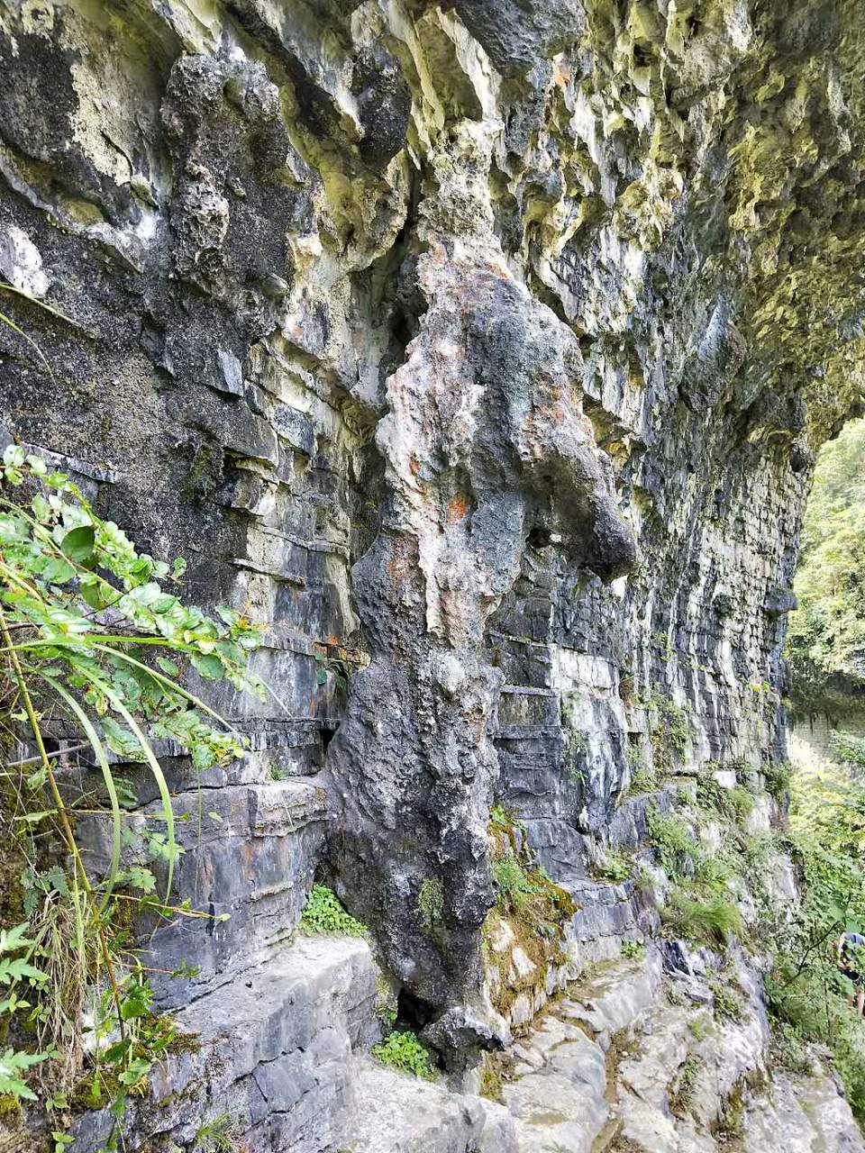 In618-wlgbFMwx85AX2DYBXwxOMZW_BkhGTSMFojv8Xy7I-gaiK91Yd3-903q7bh