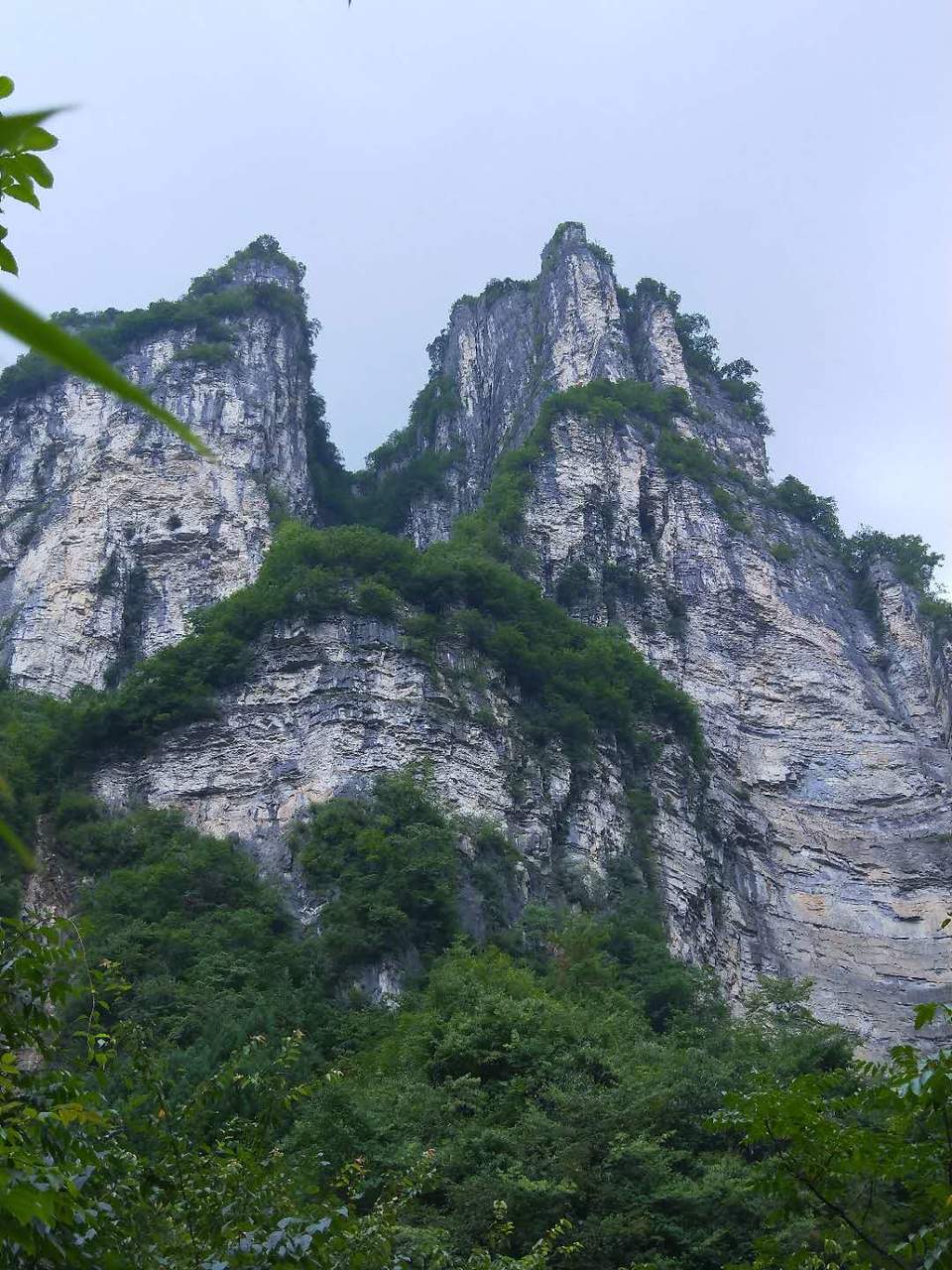 T15RJ2Vas2SCIgcixtOSZxvC3ftajWVk-IOzXEsL1zHUwkQHdhw-t528ZgcELgNr