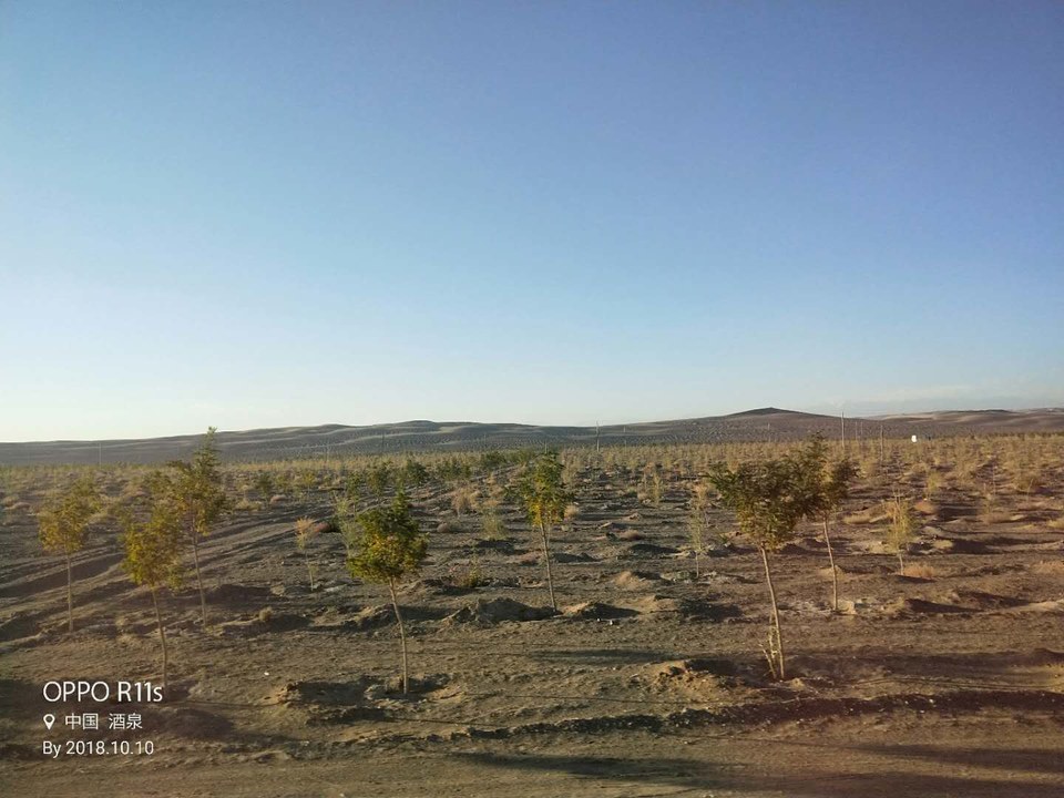 lAyX2M8sO5N1tDX9x3Pgg2xVxZydEhYorF3TNoz_Ui0mULK7Lk5W-XzV3N7-cPOQ