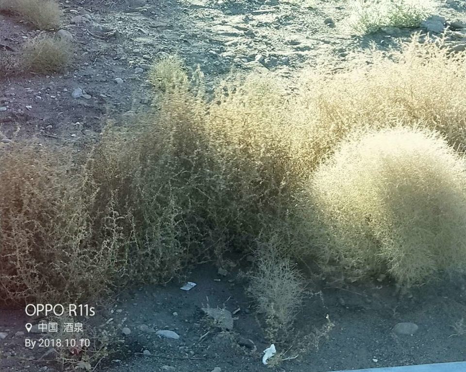 MaIqc0dwchmhKlunpwHWnVTLMuWsNoOddl5Y65Or_OHbBsSOMspcg2jOH58b0UuL