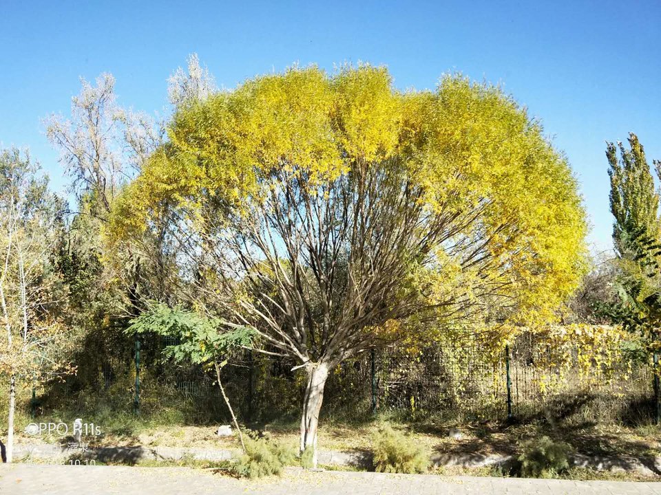 St4JVlSOu8BLgkjAZTTrKLbwEfm43WSwxRrc7I27Yp5b_xjjlDl4LtJxh1XNGzyj