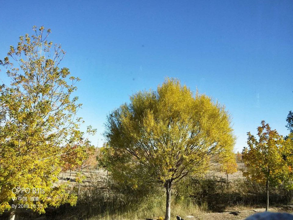 46-yofZXv_yBZMq8yItIrkpXM1TkInV9tv-rrzXFgyfNXOO5NFULr-GYleoaacbs