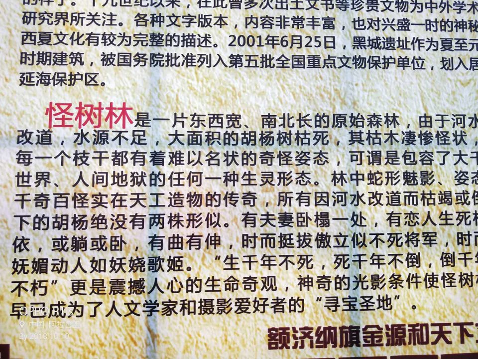 cjiPSF1fwIg3wndK68gGUjZl7xjIIFGFde_n9-5Kr-jLu2Dfb0DcCwSoagy7uS_v