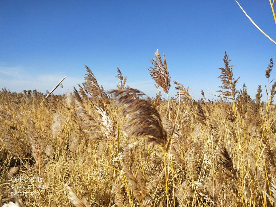 o7OTXUSEyeFntIh06k6upmFpH_X_PNHlJ5lIC0y0DoQhPQ50theL9OqQb3ESf7j_