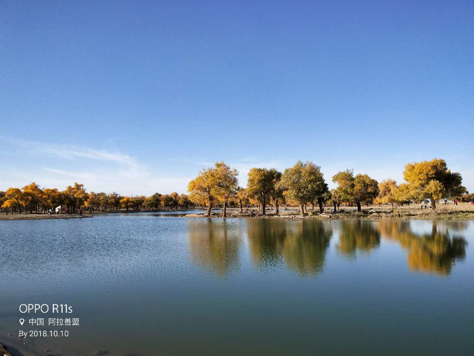 iyeUvW8H6MVfkP6OLnoyn9VEeF5QymWt-MV7t7X4A--zTnKyDcp2jM19L1ZNDpPz