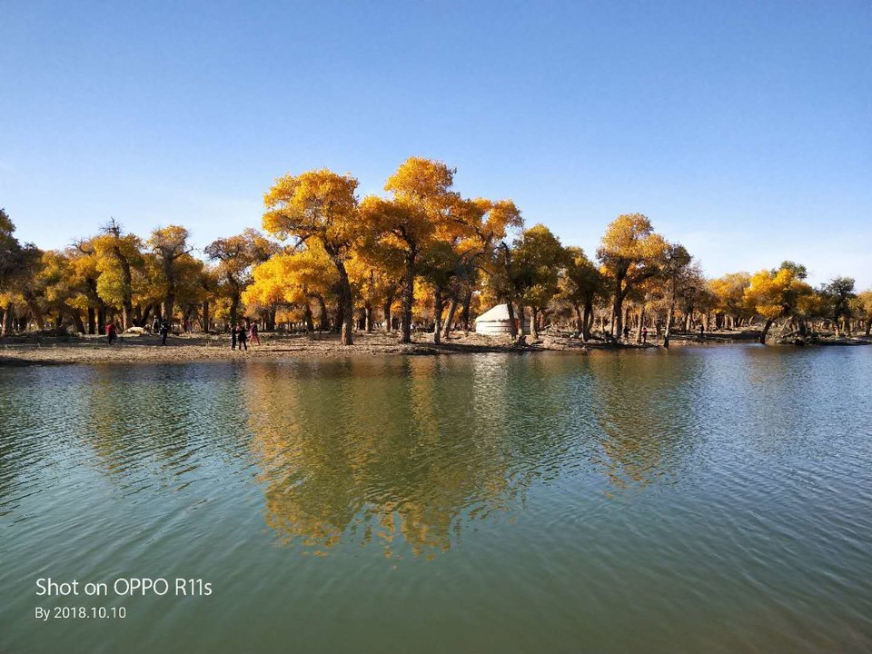 xhTE_2hMNWKpXusDUc2ncoTFYB5Sk_zLGPvbR0ZBwO1fK6Nqs-zThio_ogYjJT88