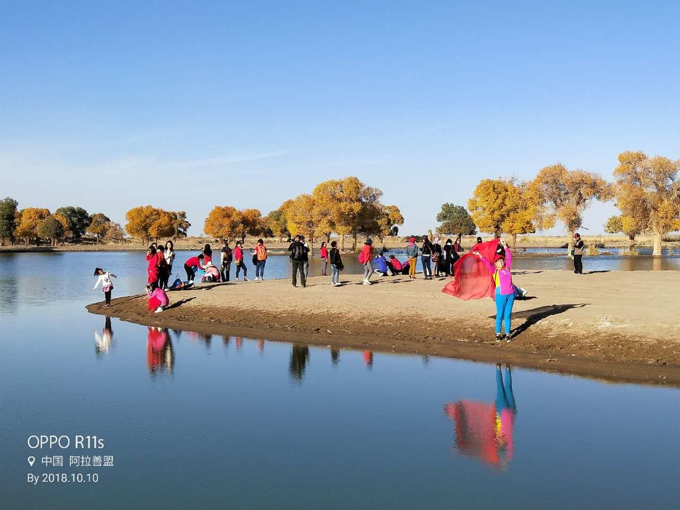 RkkBsLitn_37AHt047oTWKtb__MhA6E3I6fLxLIhHF03Rzh5_-nmISVvfgU52KbC