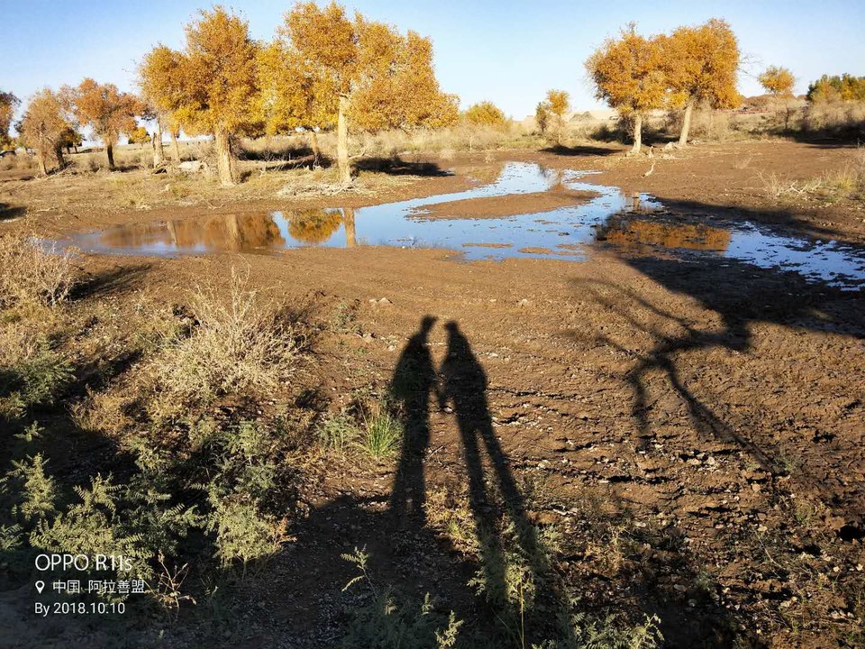 CjqA-HYU886B9MBt8pT-UUgstYsaZZlw8y94vqY4jw0GW0FkPjbi7HPx0pUfwlwP