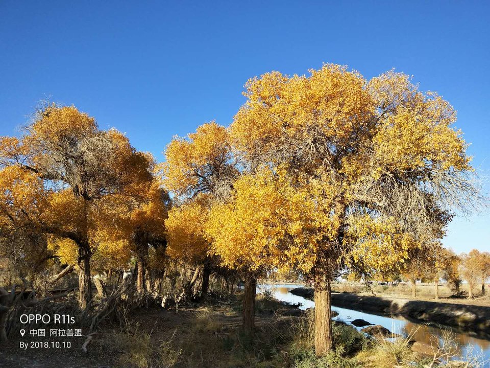 Y4Qf7GTRO01nGY54NCuZWJ6RVbBBiOfBZpaJw2N7E_voJ9kYufCjyVHLoB7wudFu