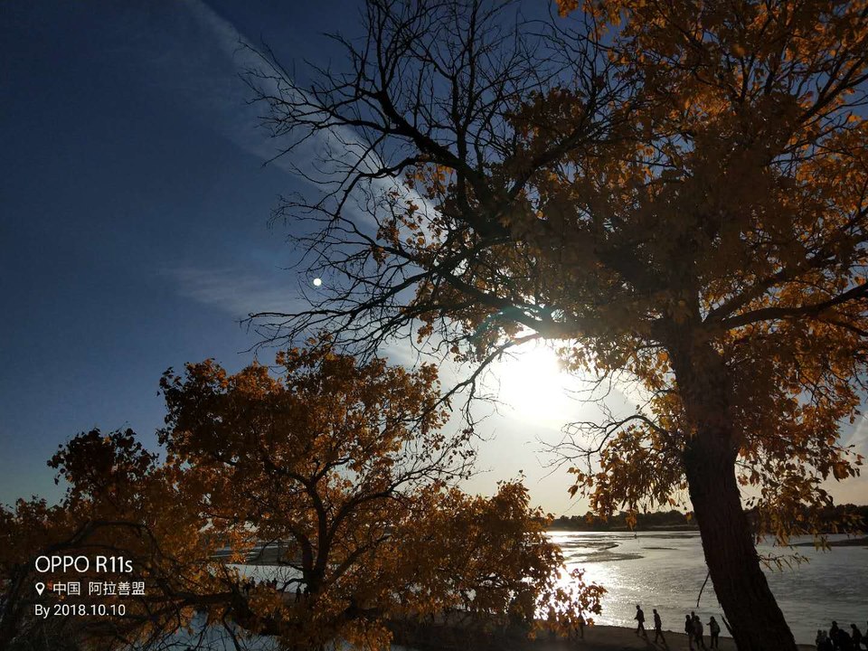 dARyfI7LTWgLlEfaHPcpb9SwAcurNSepfiubGOYN-kG5xBBWSUbrGX7vs-OH5w87