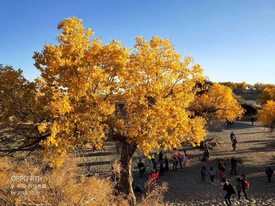 ajYCUGuwqeGjO3KyzcGYC21_prKn56QHzkpMVUn1-PcVPhloYjFx4j4anRxkOwlQ