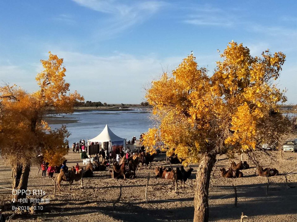 veVU65n4qb4UWBqb1T5La-_PlcMbLxTGv5YMBSdvvJdg67-OoLWcKsSH0A7BPwTR