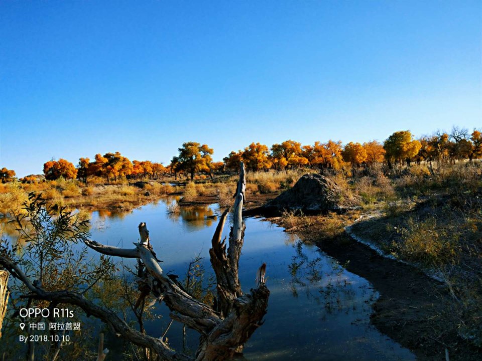 w7_5oqOOs-Airc52NQV9dEPzbp2-R34Yb9T8WJt_5Q-FFpyGK2KjWju_0qRpAsnW