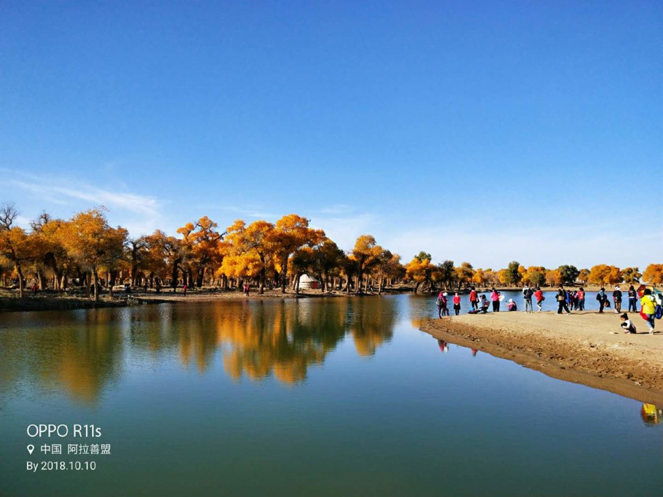 xMVAT9jvcYU2qmEcSytAyUvdN_OggGKDP4EjZoCsHLiF-7oqwJpnxOpM2VO7bbYP