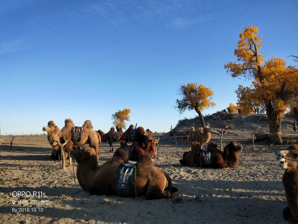 FglqOz6C_ki7ex1PjAouVeiqJvP2_oKNVjEtXzUcxO9b2AeDe58E-I3MYXh7yPNX