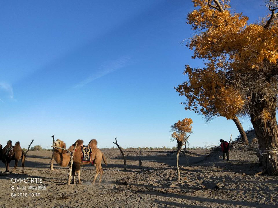 UkhxectX94skT0DxqYUNGN0iGfkXpG6tr7Su2CIvKBVfBqbmgZN8y9k8p4Zr6AhJ