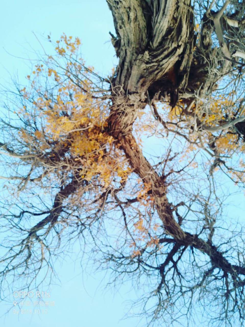 i2Aqw9a-j5se7fvPxDEBbU2MIVCXySHRW_luX1_YBBCiOlVqtAjb_jLDm8NoREdG