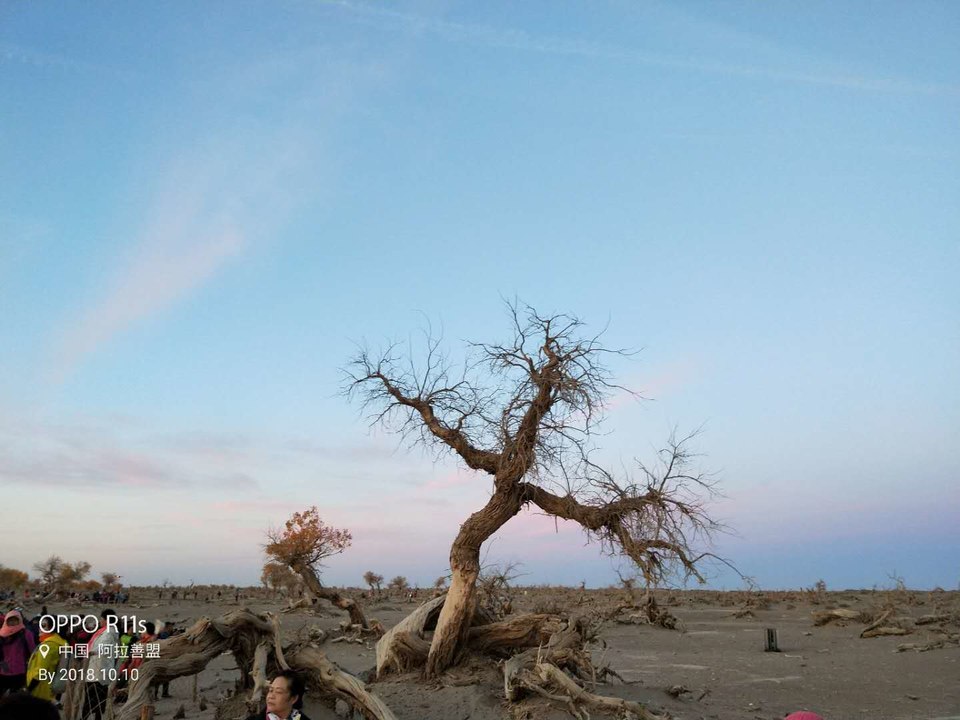 ThBlj2a16K3mTh6KhnLJfh5cF6nzZNOOZCBUFqS7LV3ndGGEzv5WK7-dntwcLc1P