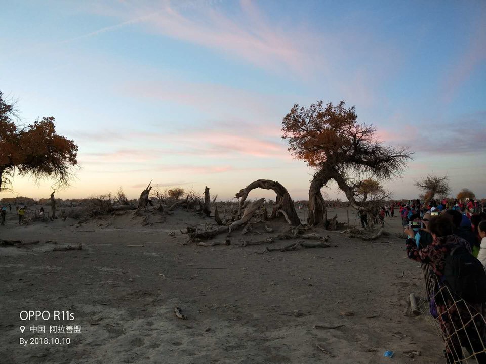 aGfdSwwf8Eu3ieuLjdrKZnS34XNRiZXnF-spSuxLyf0bXcK7uoe6gjlDffq4SiWP