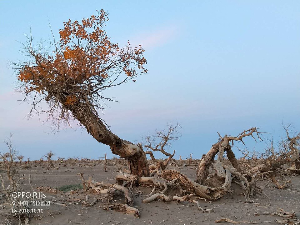 lpQkn3ktmt731gsJvn055Gkjsp51VlFaDLmvCl1zl5UDTQPEZkKy03fYeYT9v8oq