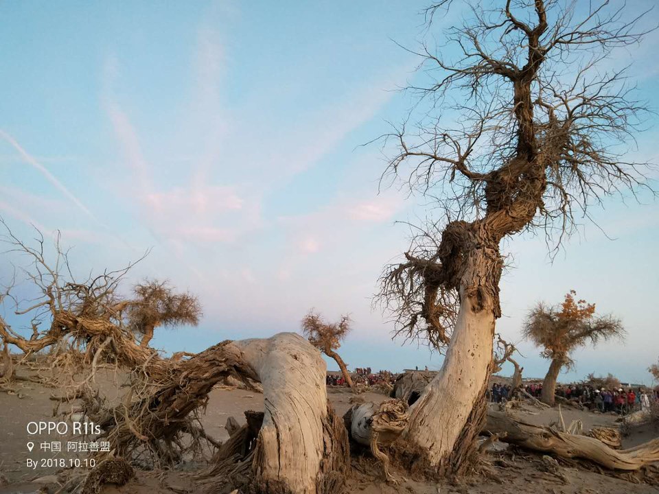 5DlJIS7AaaJXXlxRNMZrjqF2KV4K1_4tyL2xWZUpkTCrhIkyJ3ST4ZTe6WWE-84q