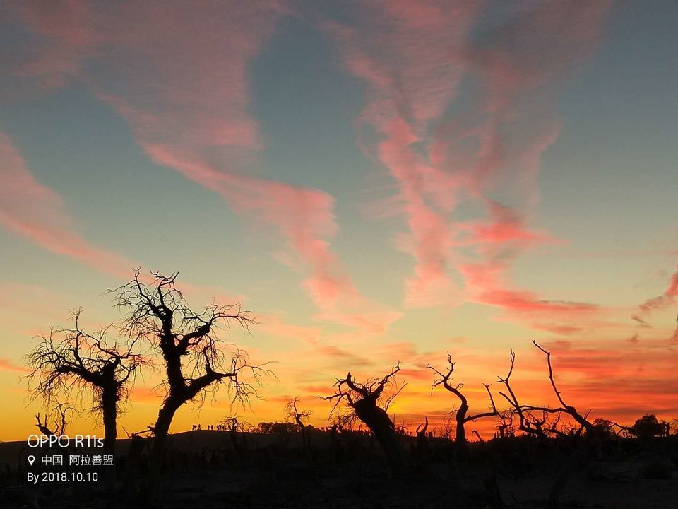 QPpnoy3cO0NImo5B6MjJdNpp4PG7xGJrbUjNJCIcDjc9T90innlShzv3aem-59yL