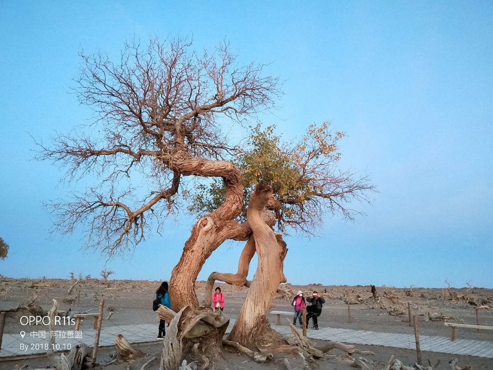 gD9escTXTa6qdAj7SFSlSQ7uKO0yK7-J4O-k1SRxwZDQYHNxZUOxDPZiaxR_qnTl