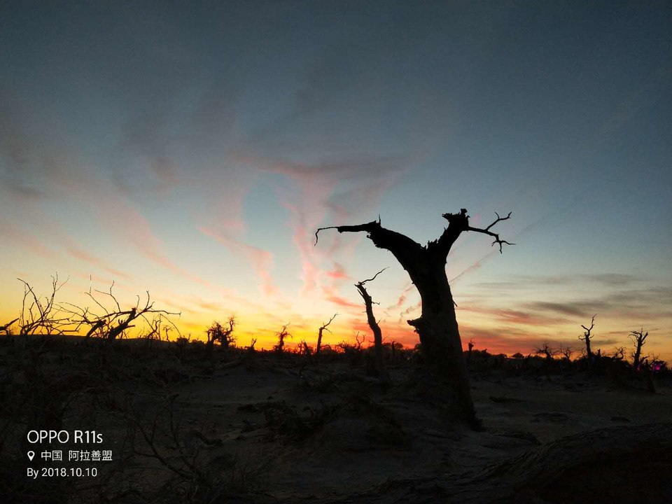 r96my4A64Q2ouKZwvIfrW9qMJZhVtEYT5KEyXCBZHxeLh5d2w_K0Jc45zyczsA-5