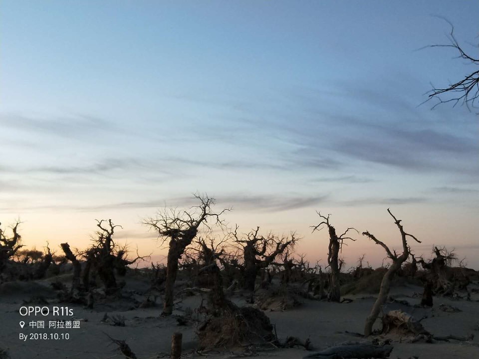 KMQQrqqPmRo3PjgGec_awBYEutR1dqcX4G2m2P8Tx_CIYeyQr-kNjBHhtkKkmrix