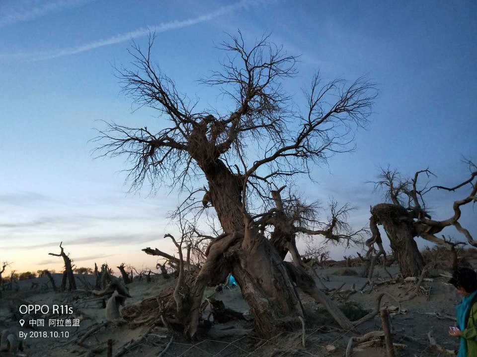 q3QnFkSEmYAZSXSmznhJsapXm6pEVf3cCbjAIRzgQuDBWu5DEzEIscLy7J8l0baW