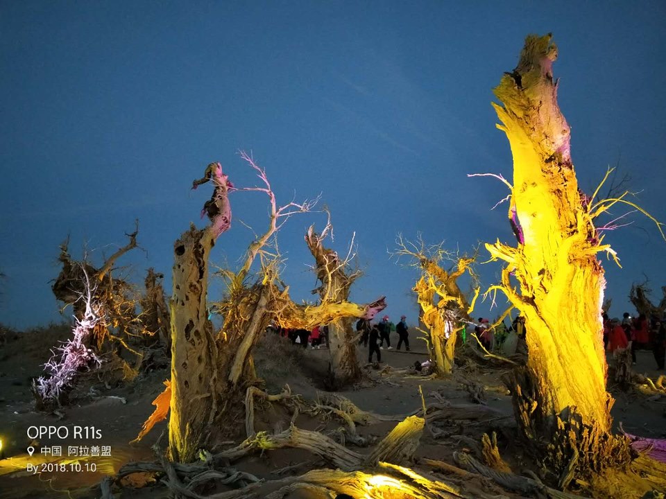 MQv10Q7W6XfBS8UhTJbwP3ywdJhDJDkMKPlwTjOb2vmThQw6M7E3bswInXNkOOe9