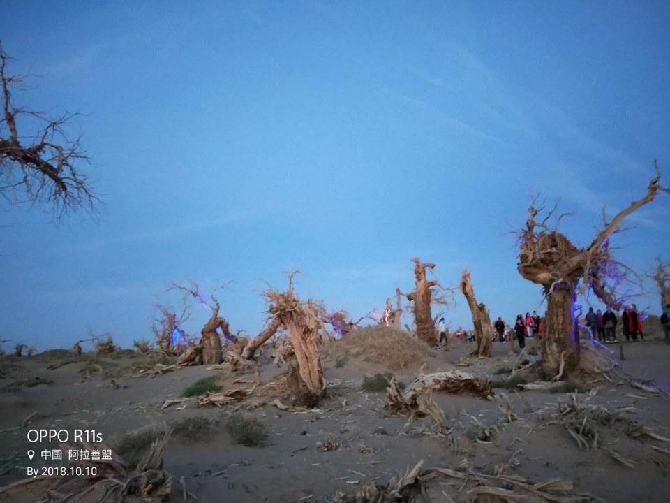 BYYwUtbm7zJ-6nbpBKysBSPc3Kjxd2K_DNKIJjNZoWDujC9kn396dxA5TiJRgr3d