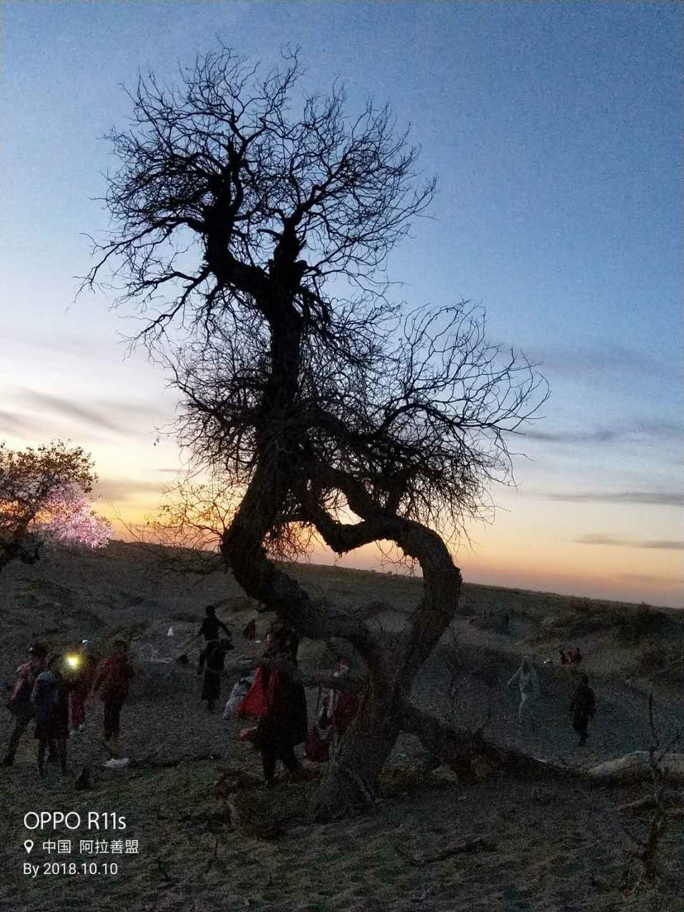 VN1cT3zbevqGNRwGuiRi4ofGBFtrFyqPQLXTfZnl81jD9R2xApOmEb_jrl_tw0BZ