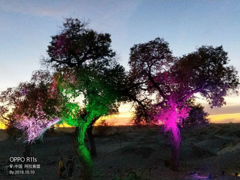 1MS71mdzaF4jKavkQl-Aa-ady4MU6muiQ5dmT3qLxZpvGioxbv-SH7r38OWf4__B