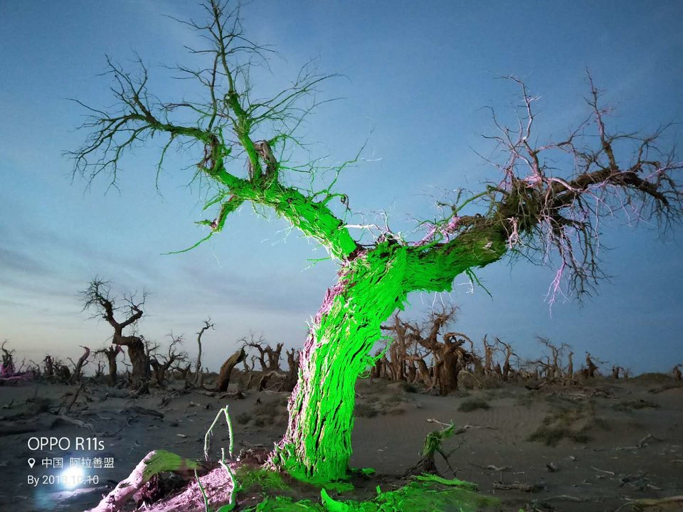 EB-7ZsTv7yAfPSo3SC-DNGziChCFZ8RZmsCT2i3x-UdVUGxGqvBD22ZtAH1C4ht5