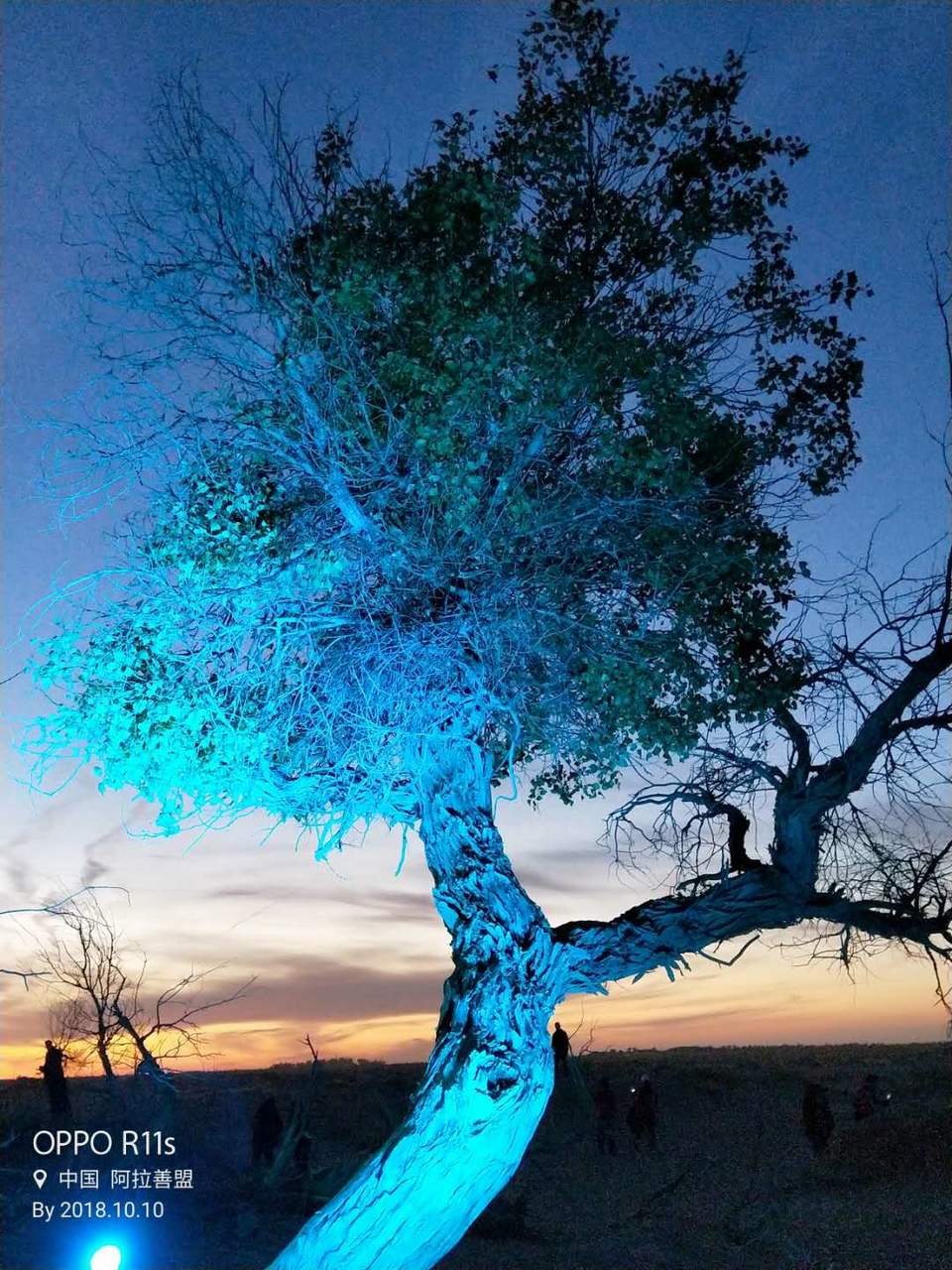 Zi031dDzUbCaUY2O9ymhWwRL06NToMbUMqmCE_JQ52abz6k2wXceNGO7IOY8hDuQ