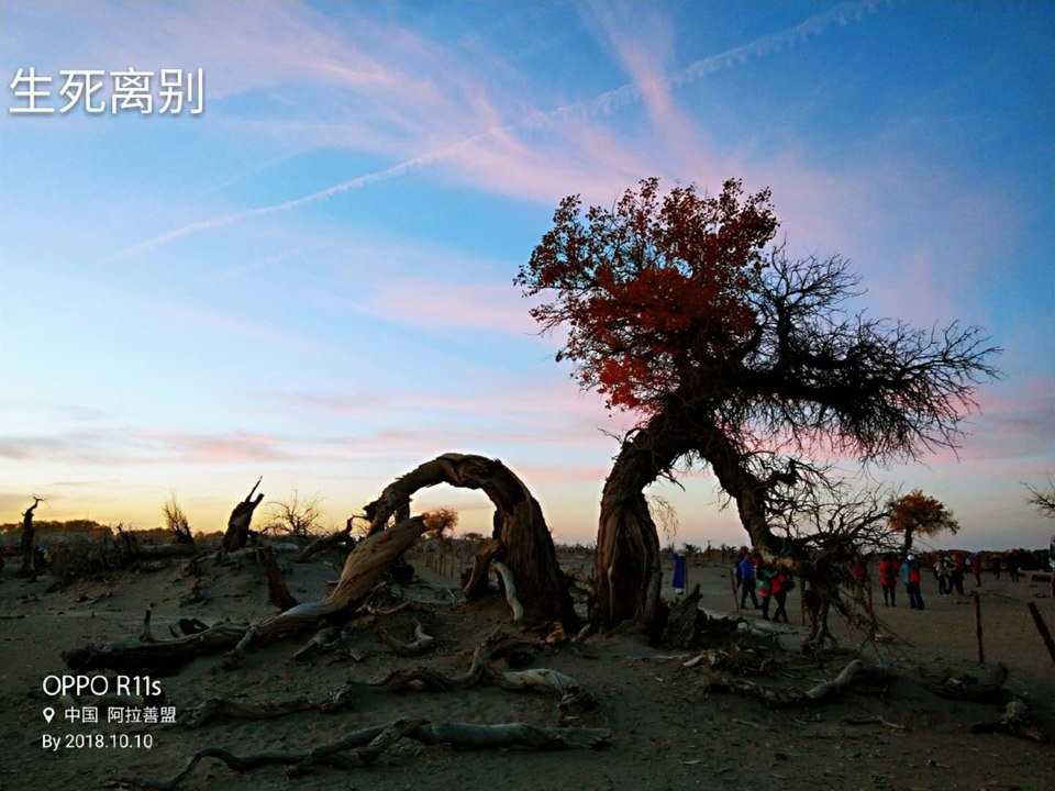 U_yVNh01YGlug1qR3V3FWk0PgfjdGuquWir4WX1Q4lZx_JM12AComNAGoUEk5SFJ