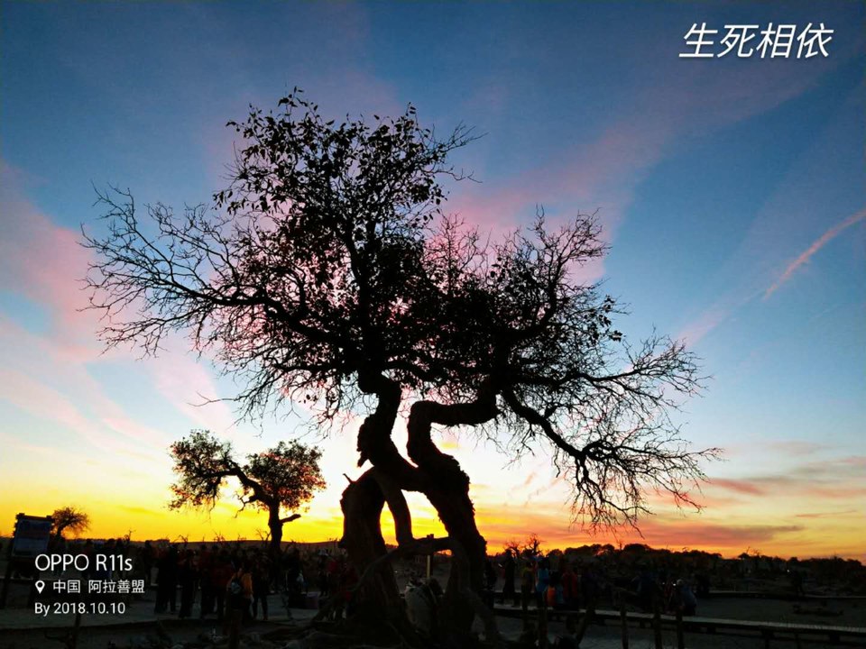 70Pft4b01p4W2Hgteubn-Kd0HlAqhsbS1EKZMC-14DA0wVvJpz85vJRN0KWfcsxf