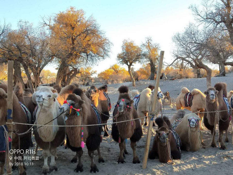 veVU65n4qb4UWBqb1T5La8QWUKGoP5WRaiQ1WhRjS5t9VNR699-ZbLYw0A76W1Cl