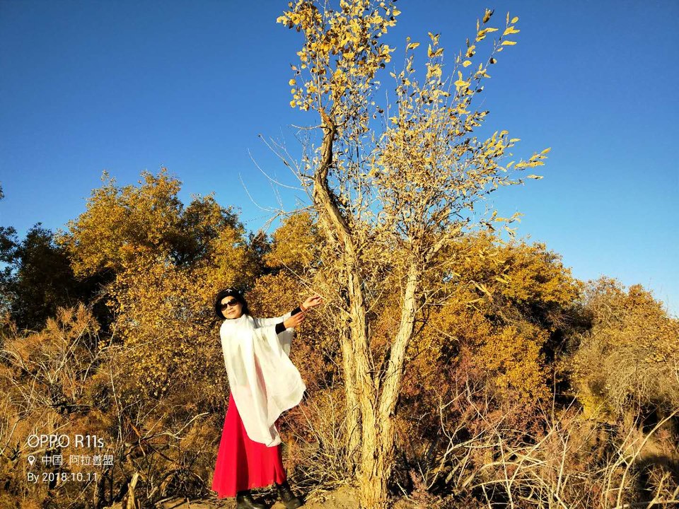 kzQS1yk95jhPaMGW9VM13VdiZwIJNRzMFGzktaaHYw5WI1gu8jeYonxQIJQiwNbr